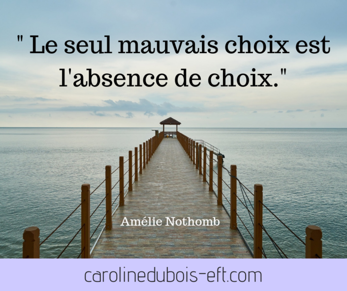 carolinedubois-eft.com (1)