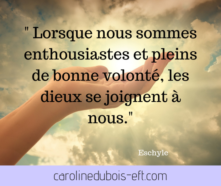 carolinedubois-eft.com (11)