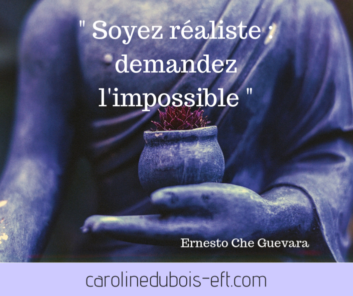 carolinedubois-eft.com (12)
