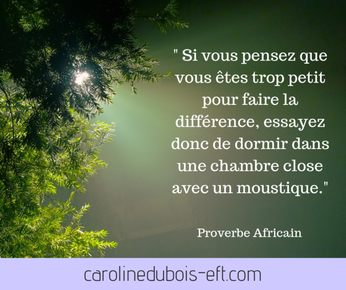carolinedubois-eft.com (3)