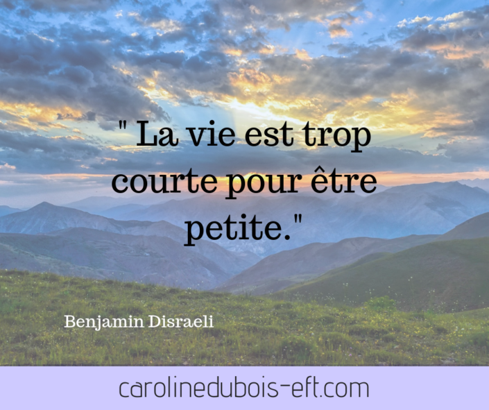 carolinedubois-eft.com (7)